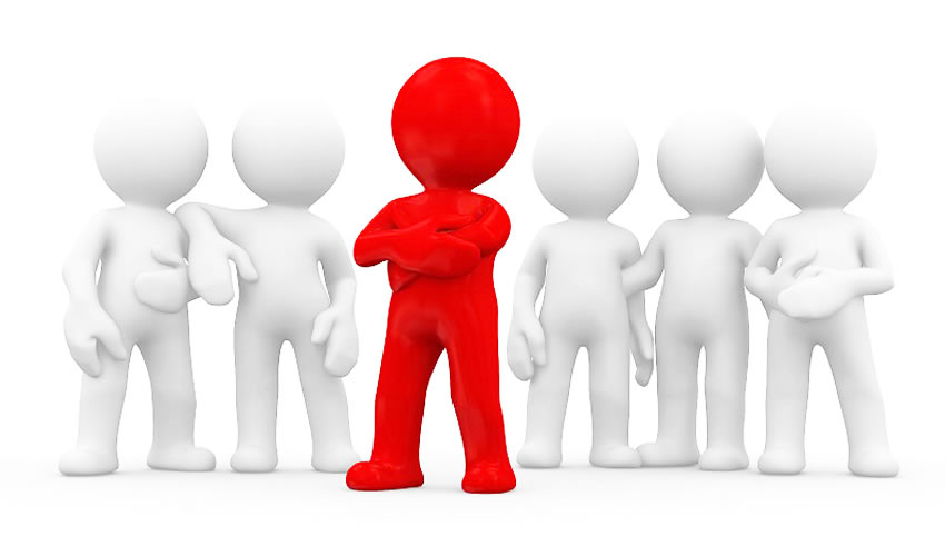 highway guardrail nets